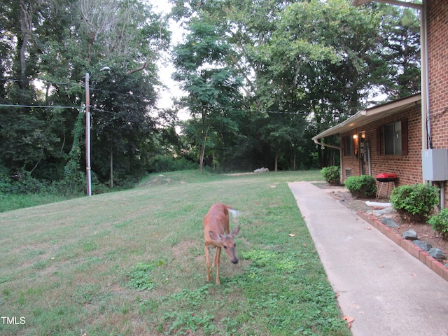 view of yard