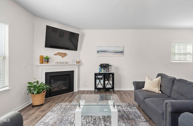 living room featuring a healthy amount of sunlight and hardwood / wood-style flooring