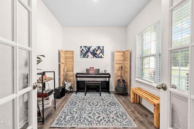 office featuring wood-type flooring