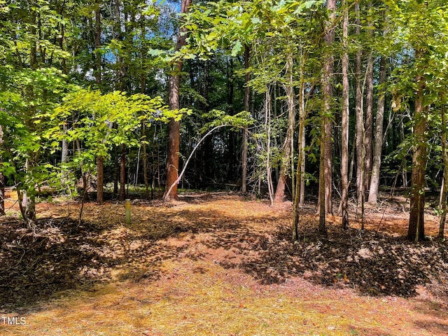 Listing photo 3 for LOT1 Stillwater Ln, Roxboro NC 27574