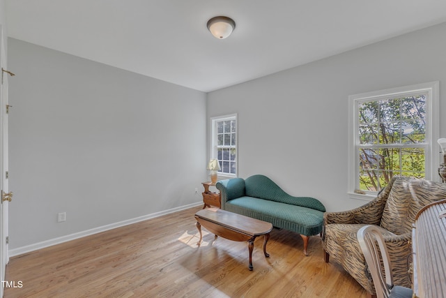 sitting room with light wood-type flooring