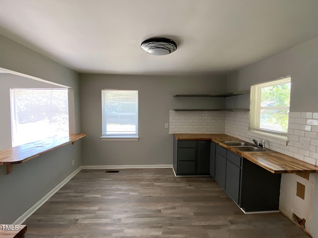 kitchen featuring a healthy amount of sunlight, wood counters, sink, and dark hardwood / wood-style floors