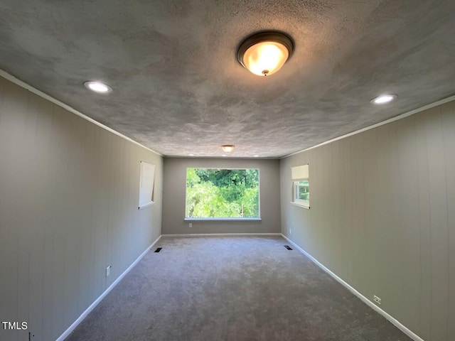 spare room with carpet, crown molding, and a textured ceiling