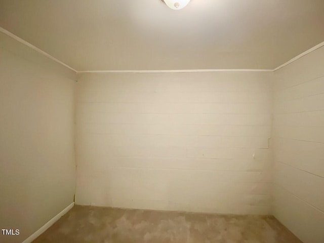 empty room featuring carpet