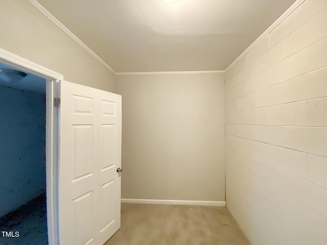 spare room with crown molding and carpet floors