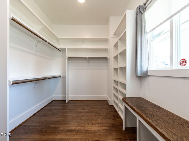 spacious closet with dark wood-type flooring