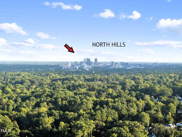 birds eye view of property featuring a view of city