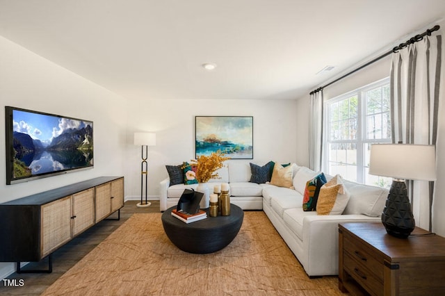 living room with wood-type flooring