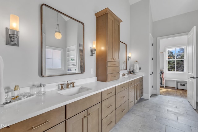 bathroom with hardwood / wood-style flooring and vanity