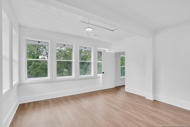 empty room featuring hardwood / wood-style flooring and plenty of natural light