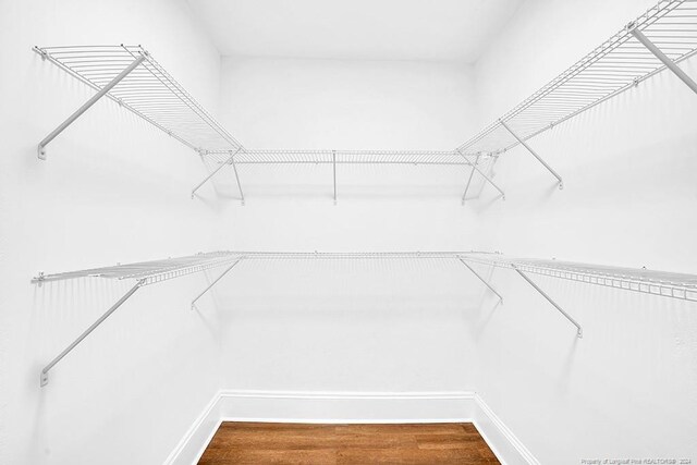 spacious closet featuring wood-type flooring