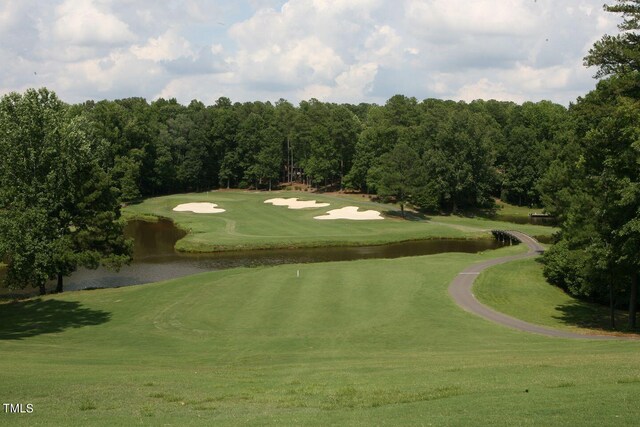 143 Traceway N, Sanford, NC 27332 - photo 9