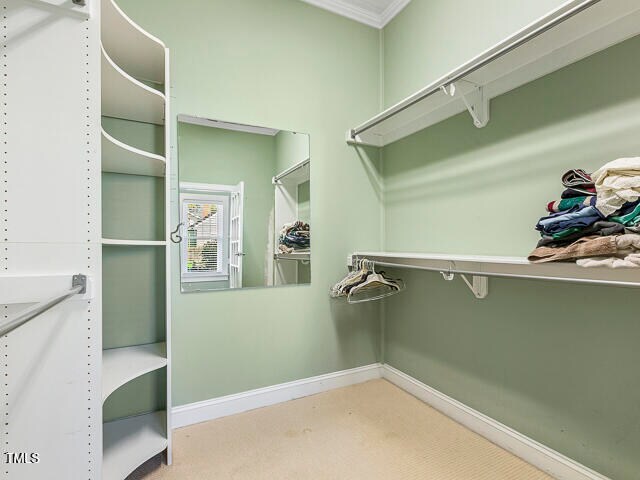 walk in closet with carpet