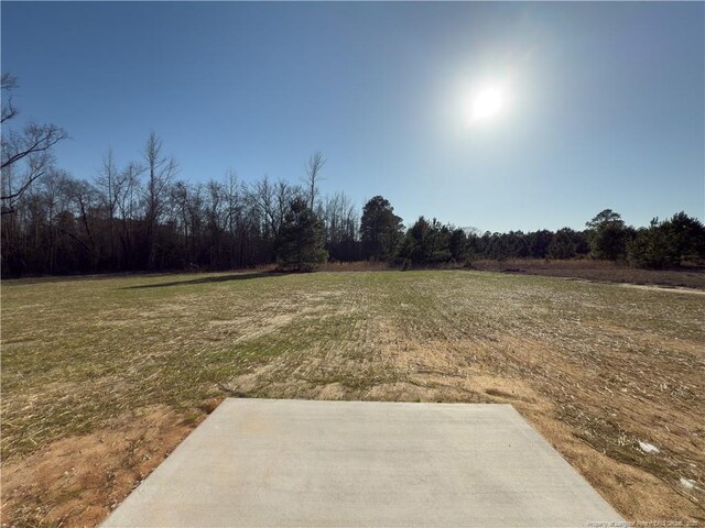 4992 Blue Springs Rd, Red Springs, NC 28377 - view of yard