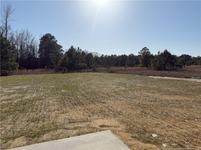 4992 Blue Springs Rd, Red Springs, NC 28377 - view of yard