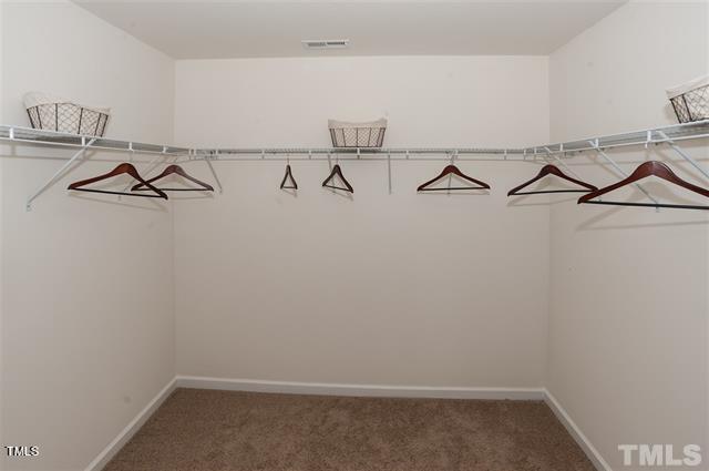 spacious closet featuring carpet flooring