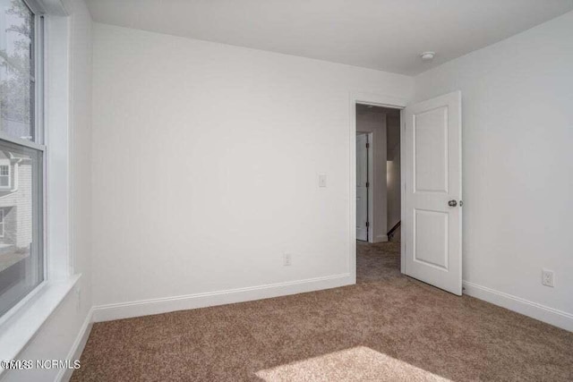 empty room featuring carpet