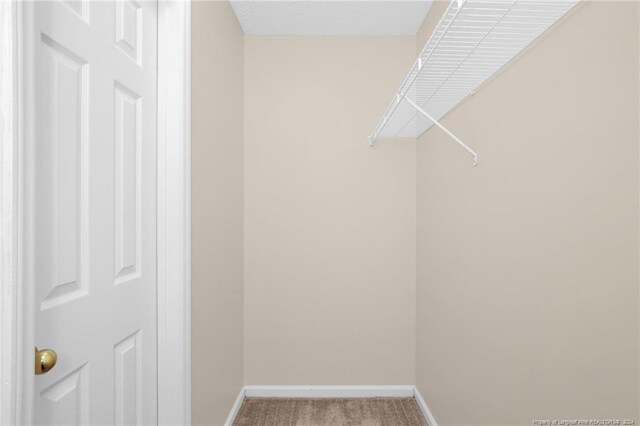 spacious closet featuring light colored carpet