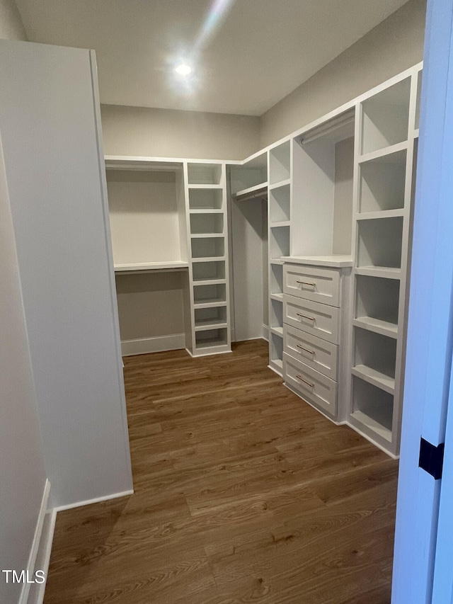 walk in closet featuring dark hardwood / wood-style flooring