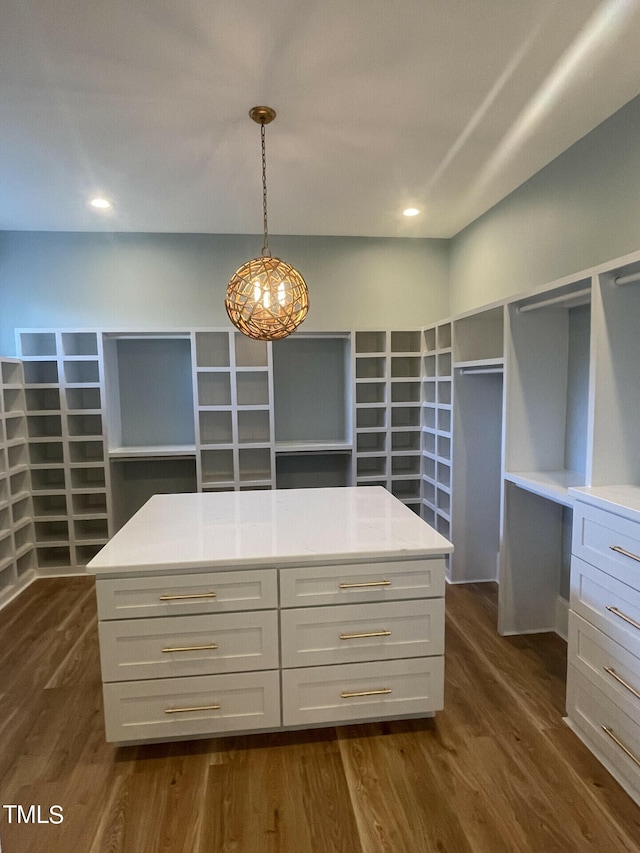 walk in closet featuring dark hardwood / wood-style flooring