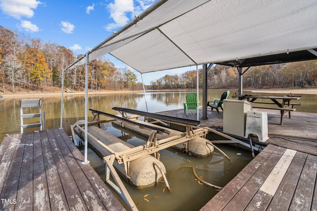 dock area with a water view