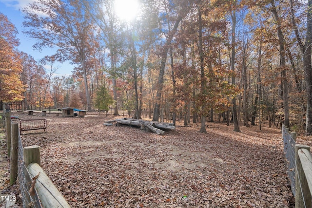 view of yard featuring a shed