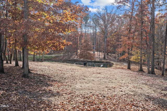 view of yard with a water view