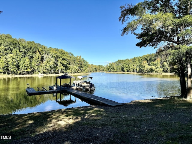 dock area with a water view