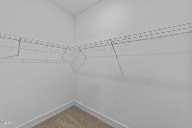 spacious closet with carpet flooring