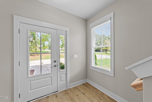 doorway to outside with a wealth of natural light and light hardwood / wood-style flooring