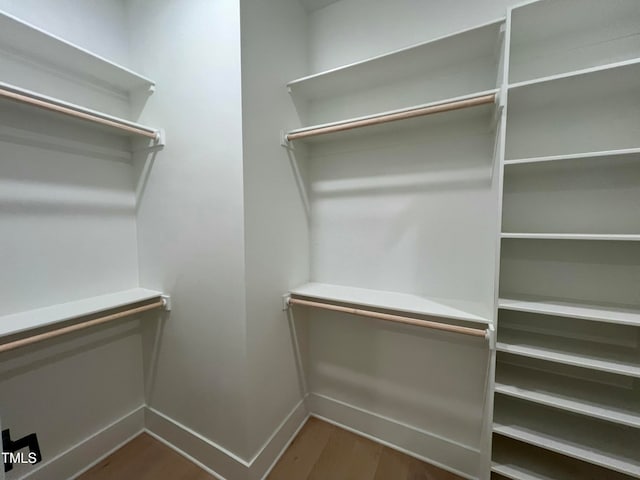 spacious closet featuring dark wood-type flooring