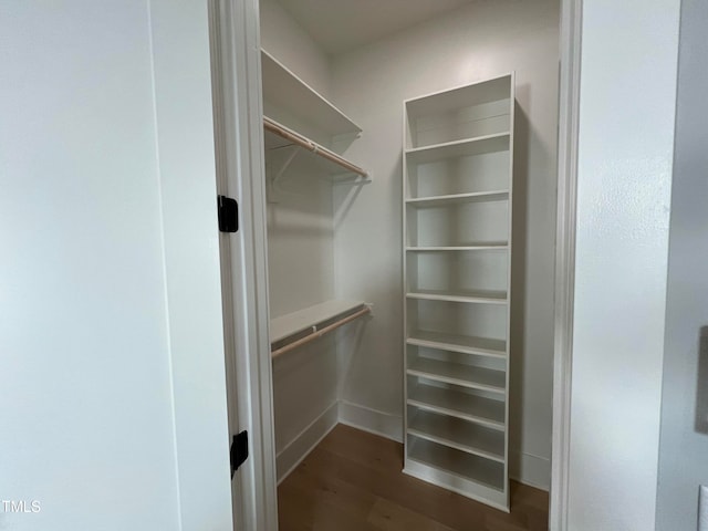 spacious closet featuring dark hardwood / wood-style flooring