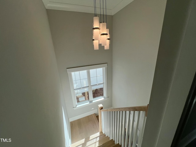 stairway featuring hardwood / wood-style flooring and crown molding