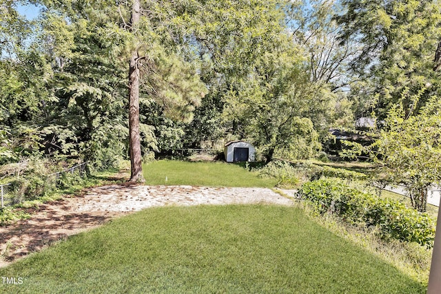 view of yard with a storage shed