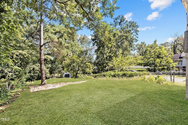 view of yard with a storage shed