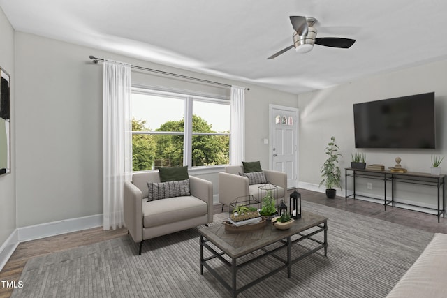 living room with ceiling fan and hardwood / wood-style flooring