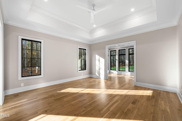 unfurnished room featuring light hardwood / wood-style floors, a raised ceiling, and ornamental molding