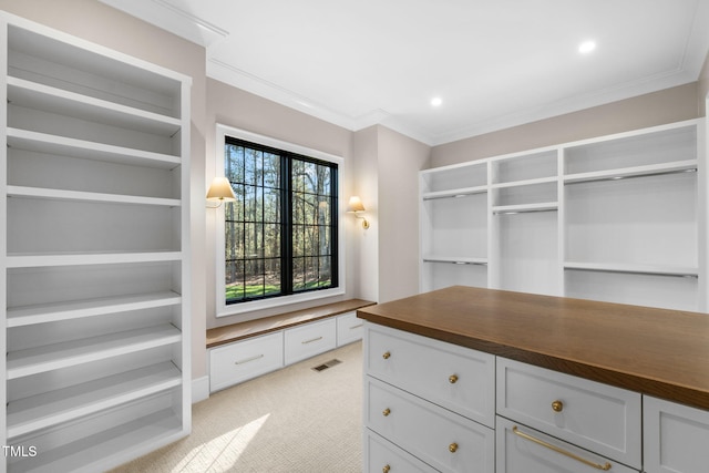 spacious closet featuring light carpet