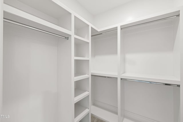 view of walk in closet