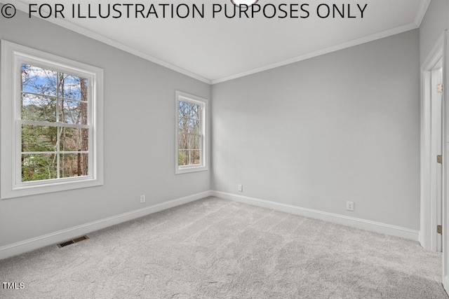 unfurnished room featuring a wealth of natural light, crown molding, and carpet