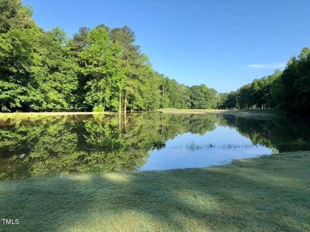 102 Mayan Dr, Louisburg, NC 27549 - view of water feature with a forest view