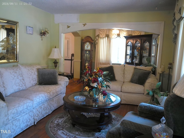 living room featuring hardwood / wood-style floors and a textured ceiling