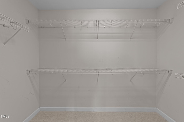 walk in closet featuring carpet floors