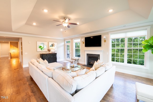 living room featuring dark hardwood / wood-style floors, a raised ceiling, and a healthy amount of sunlight