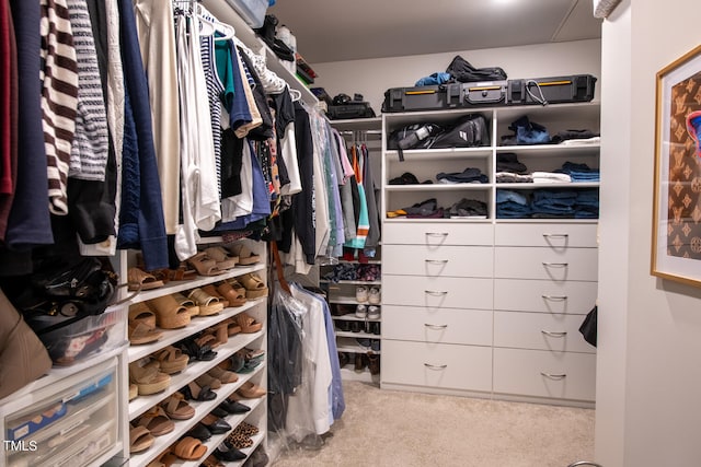 spacious closet featuring light colored carpet