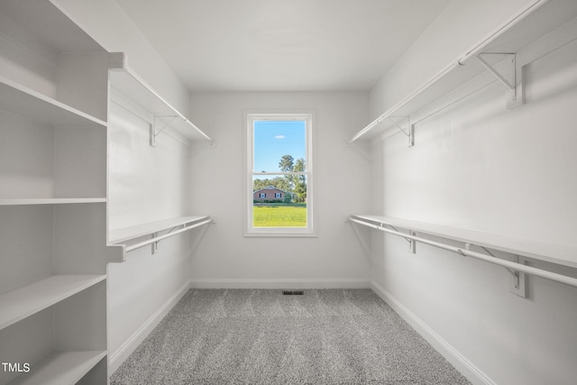 walk in closet with carpet flooring