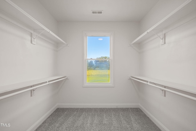 spacious closet featuring carpet