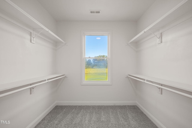 2804 Jack Mitchell Rd, Zebulon, NC 27597 - spacious closet with carpet flooring and visible vents