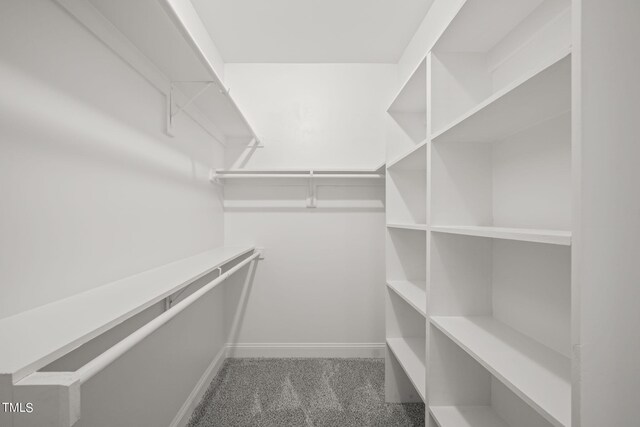 walk in closet with carpet flooring