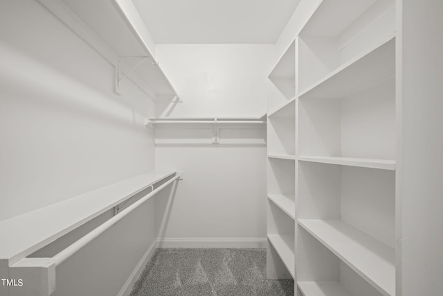 2804 Jack Mitchell Rd, Zebulon, NC 27597 - walk in closet with carpet flooring